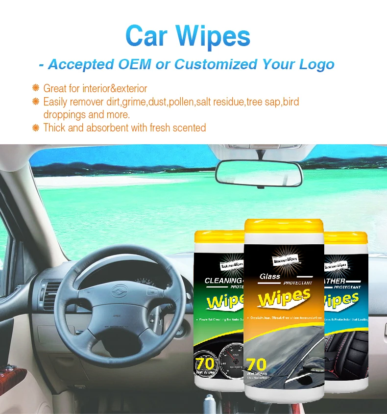 Biokleen Free Sample Custom Non Woven Disposable Car Window Wet Wipes For Car Buy Wet Wipes 7701