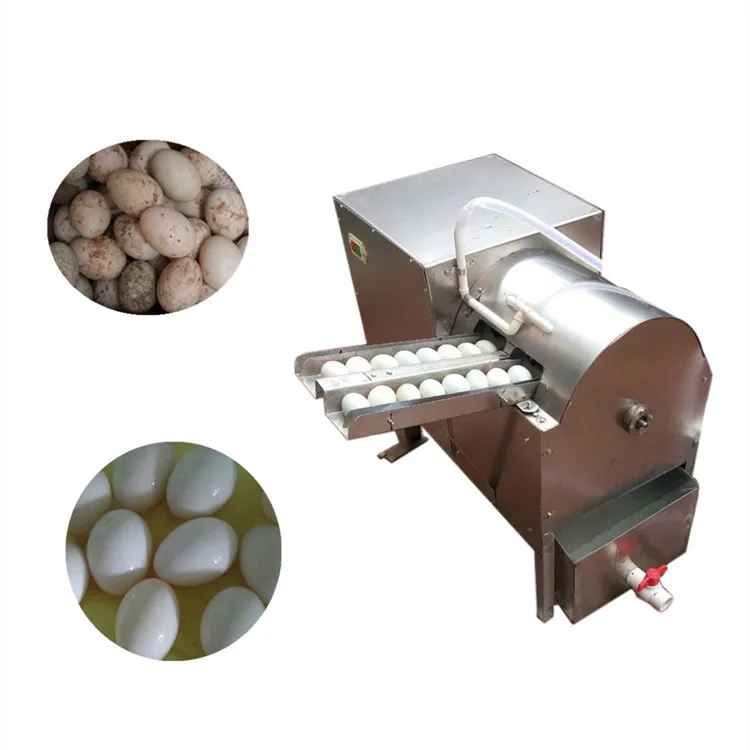 portable egg washer