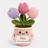 Plantas de tulipanes en maceta