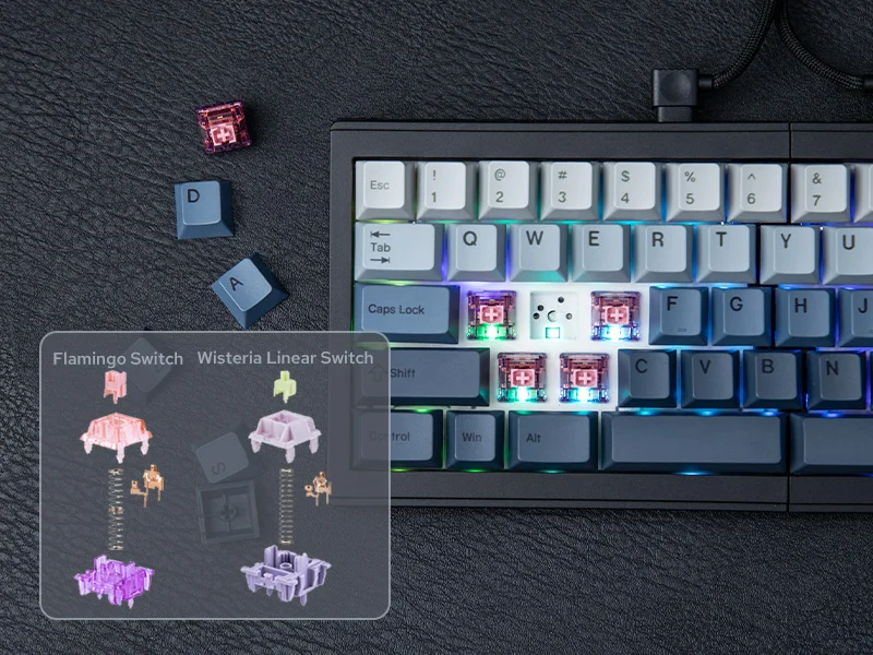 Epomaker Split 65 Ergonomic Hot-Swap Mechanical Keyboard with RGB ...