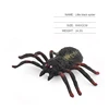 pequeña araña negra