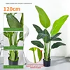 120cm high sim traveler banana-real hand leaf 9 leaves-black pla