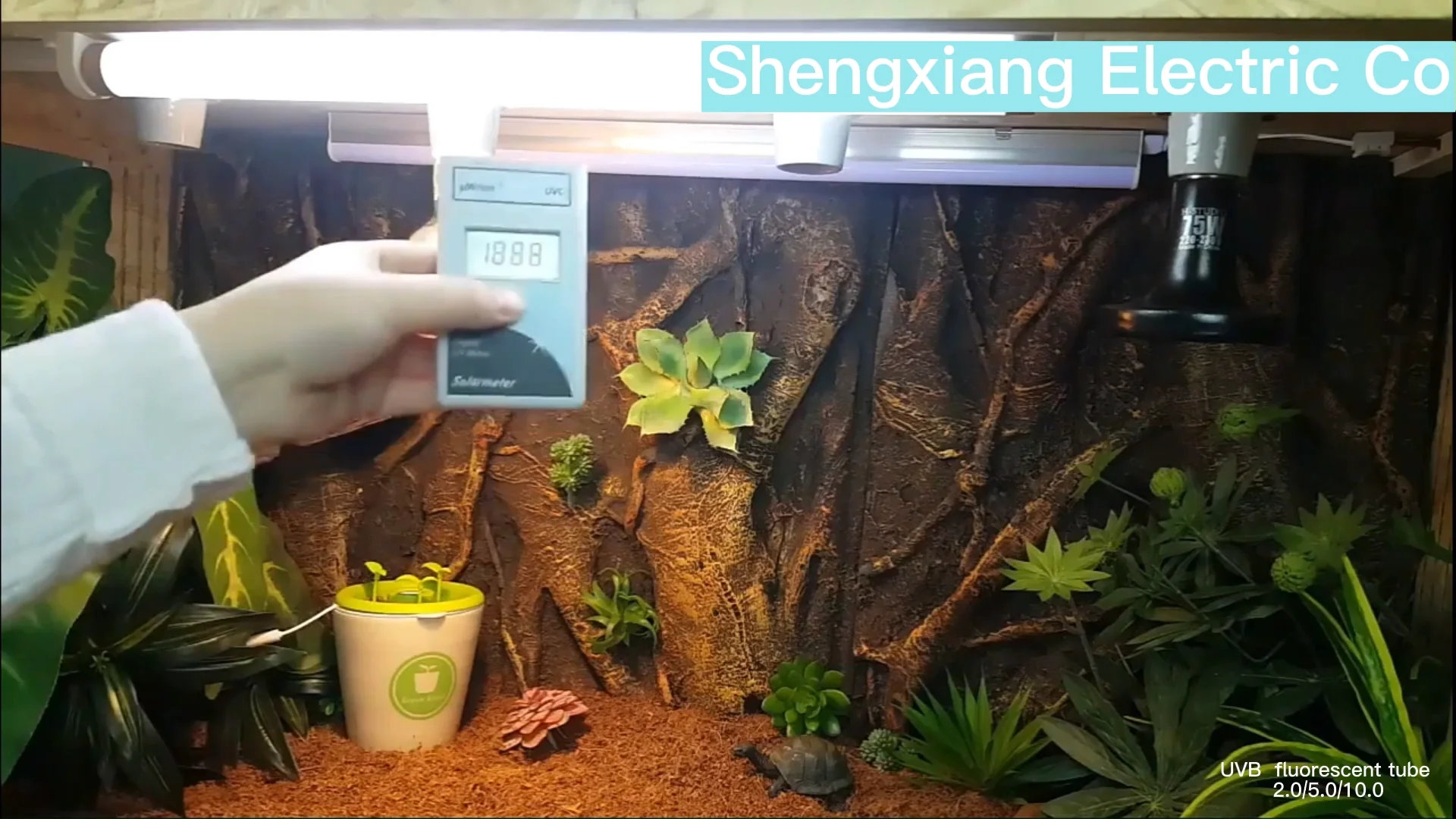 Wholesale T5 Light Fixture Reptile Pet Uvb Fluorescent Tube Light