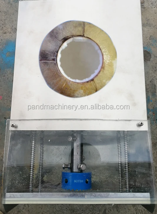 Factory Price Coconut Top Opener Cutter/ Coconut Head Opening Machine/Coconut Engraving Maker - Image 4