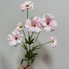 Nouveau 6 têtes rose