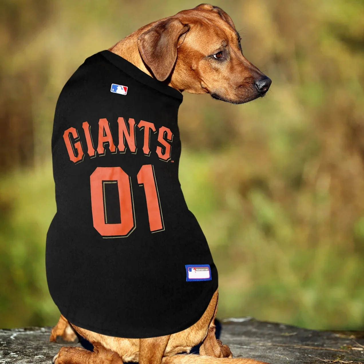 Source Qiqu Pet shop online product Sport Jumper jumpsuit San Francisco  Giants Jersey sweatshirt for dog on m.