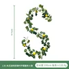 1.  95m Eucalipto Hoja de Rosa, Vid de Limón, Tipo A, A07792