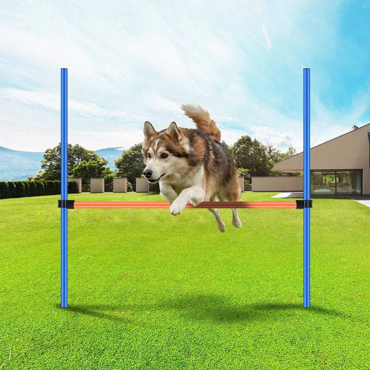Pet Dog Hurdle Bar Puppy Agility Equipment Training