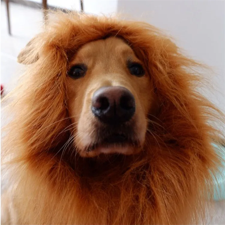 Funny Cute Pet Hat Cat Costume lion Mane Model Dog Wigs Decoration