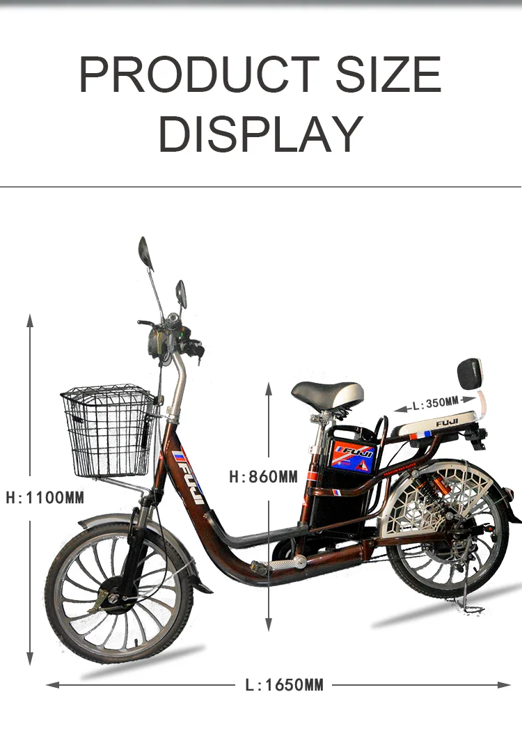 Electric Bicycle OEM ODM 48V