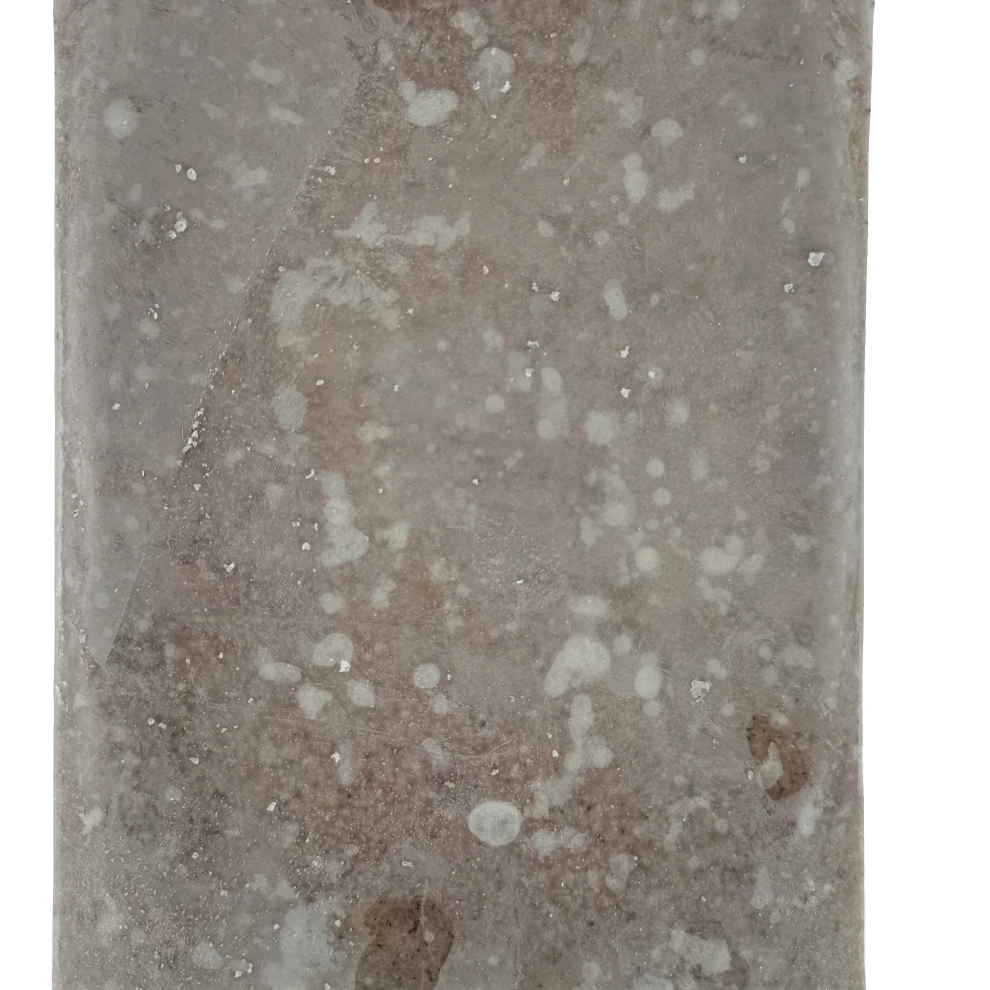 Натуральный замороженный миз для декоративных рыб высокого качества