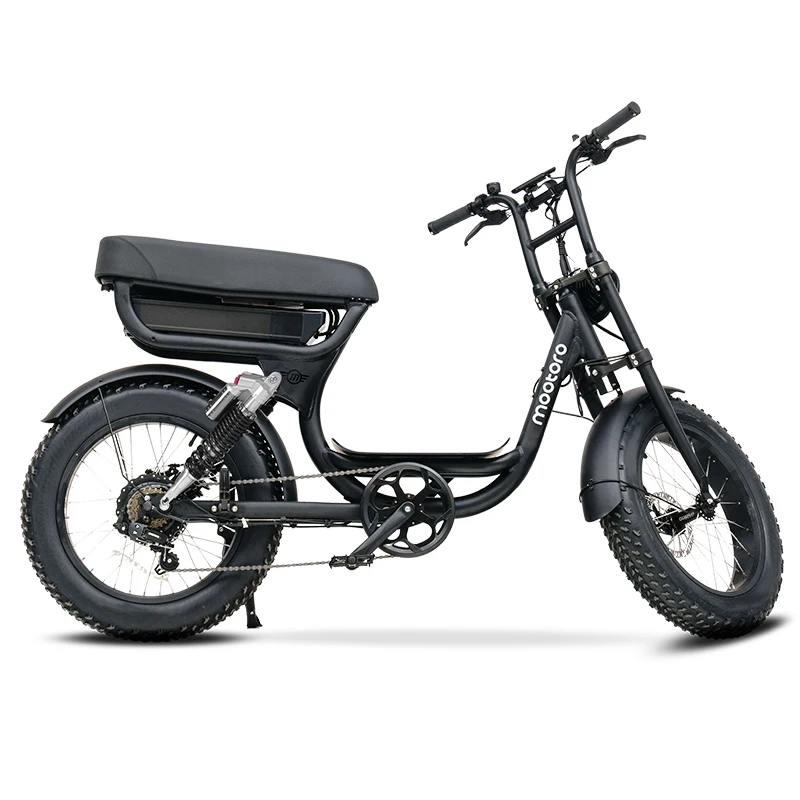 step through fat tire ebike