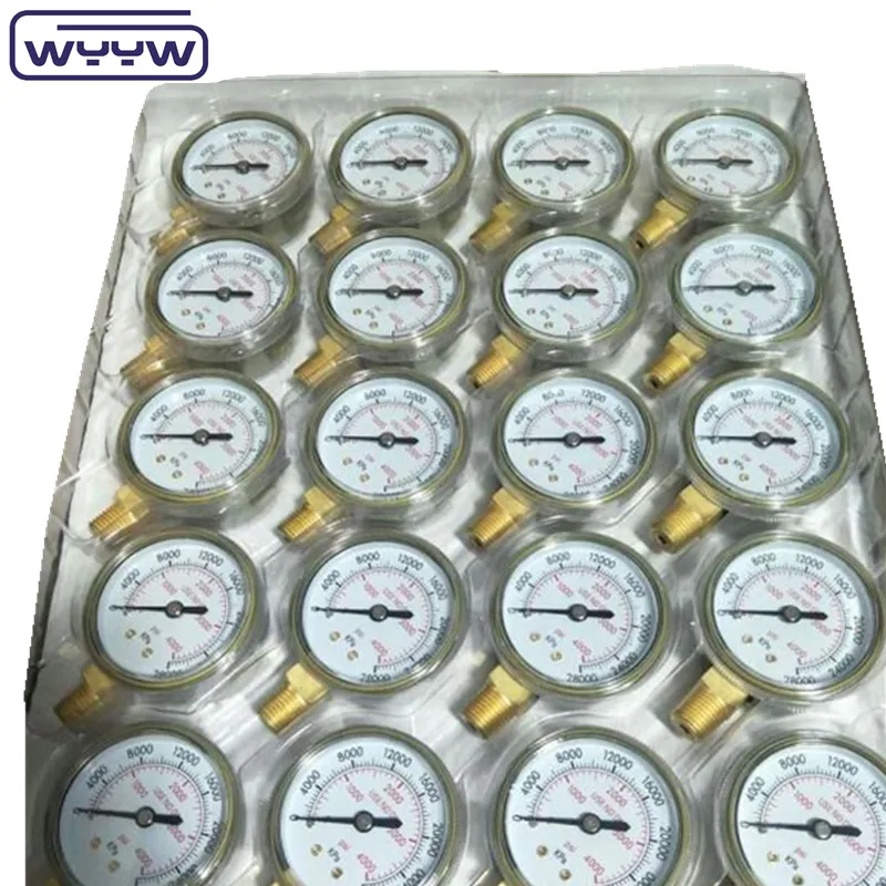 
 Манометр с масляным наполнением 1Psi (0 - 600 Psi) Npt 1/4  