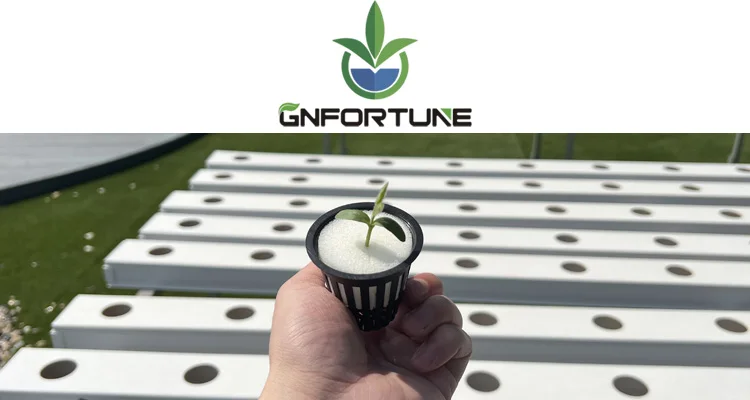 hydroponic net cups
