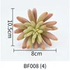 BF008-(4)