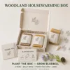 Woodland Housewarming Box