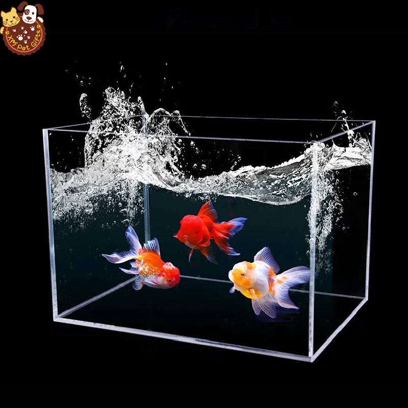 Custom Acrylic Fish Tank Aquariums - Eco-Friendly, Transparent Design ...