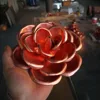 Pourpre