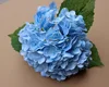 Bleu clair