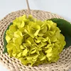Jaune-vert