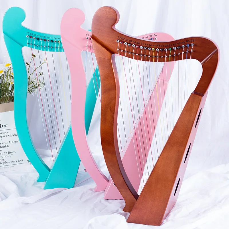 天鹅口风琴24孔复音c键演奏乐器口琴