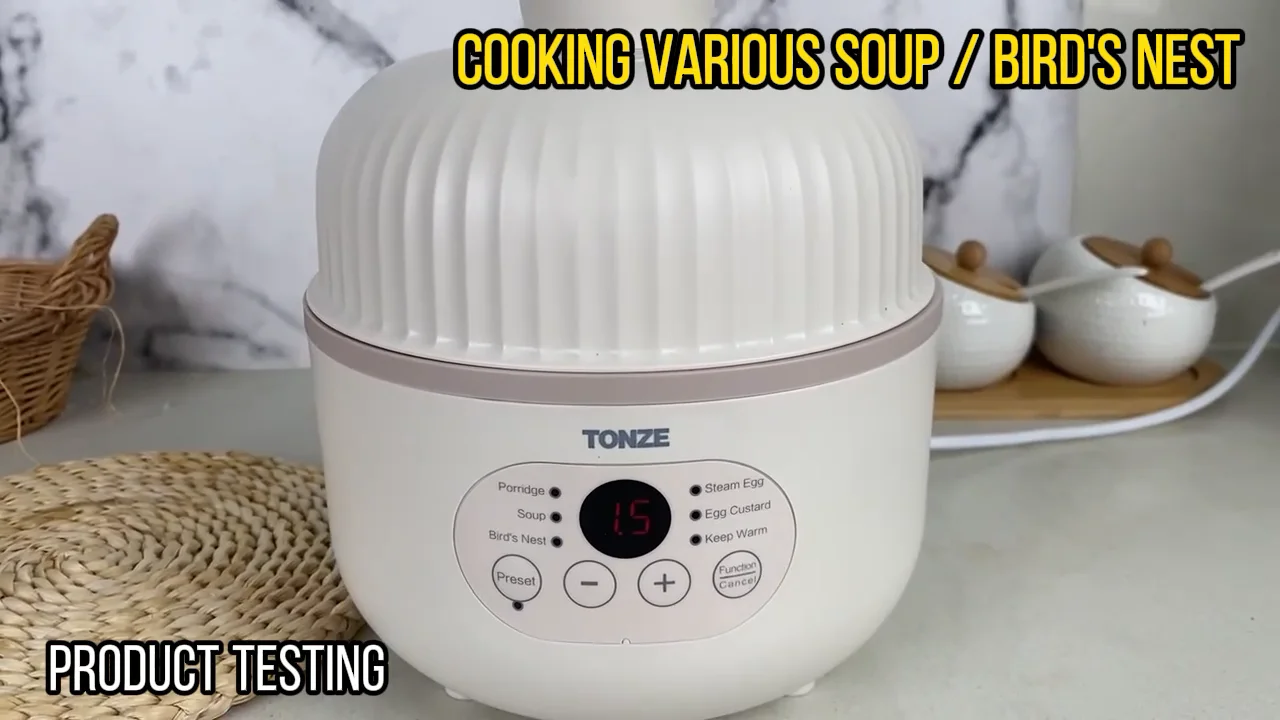 Tonze Oem Smart Portable Ceramic Cookers Ceram Health Mini Slow Cooker Birds Nest Soup Electric