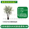 1.8m solid wood multi-forked olive tree bonsai (deposit link)