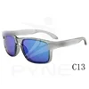 ZD9102 Polarized -C13