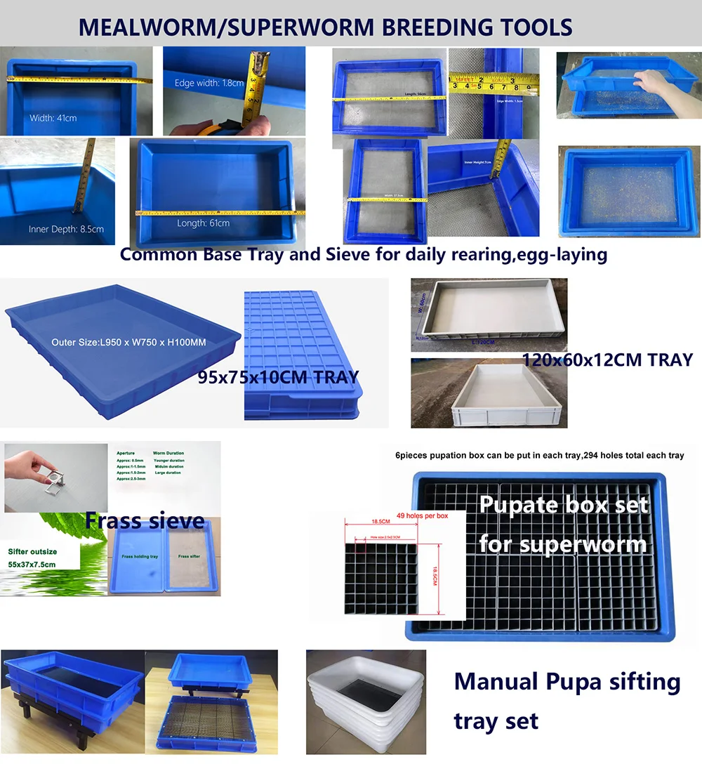 Mealworm Breeding Farm Super Worm Zophobas Morio Barley Worms Tenebrio