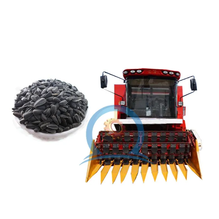 ひまわりん　まとめ売り スプレー咲ミニひまわり 種・小袋 （1.2ml） F1（一代交配種