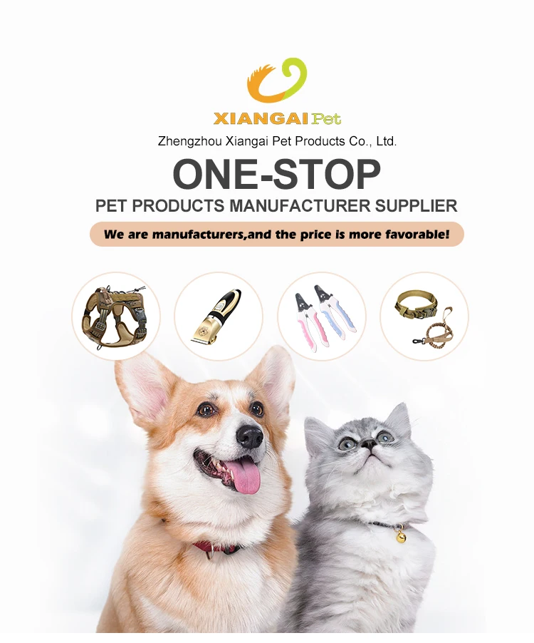 Abs Plastic Material Glow Dog Leash Glow In The Dark Dog Leash