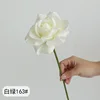 Bianco e verde chiaro