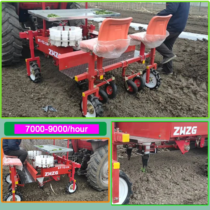 Multirow Heavy Duty Cayenne Seedling Transplanter Paprika Planting Equipment Green Onion Transplanter Machine