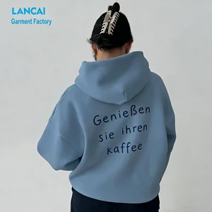 Wholesale Custom High Quality Oversized Loose Heavyweight Plain Solid Sweatshirt Blank Hoodies Unisex