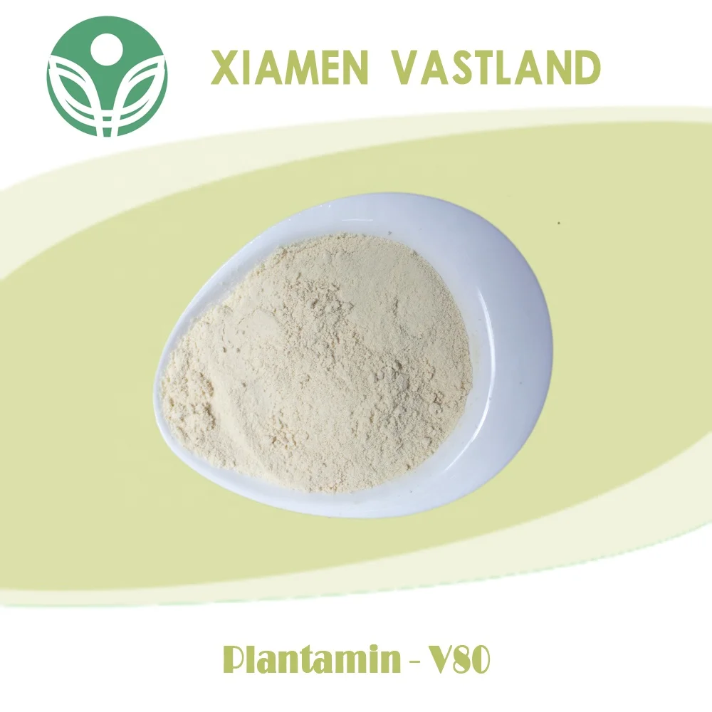 Plantamin - V80.jpg