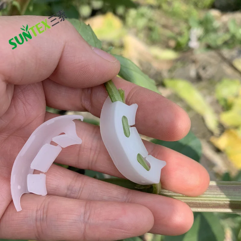200 Clips De Jardin Pour Plants De Tomates Et Légumes - Support Vigne, Haricots, Concombres