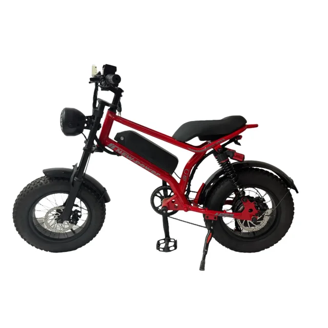 2024 48V 500W 45 km/h e-bike electric city bike with two batteries