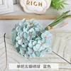 5-petal blue hydrangea