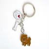Chow Chow