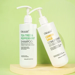 Wholesale Private Label Hair Products Natural Smooth Frizz Hair Shampoo and Conditioner Set