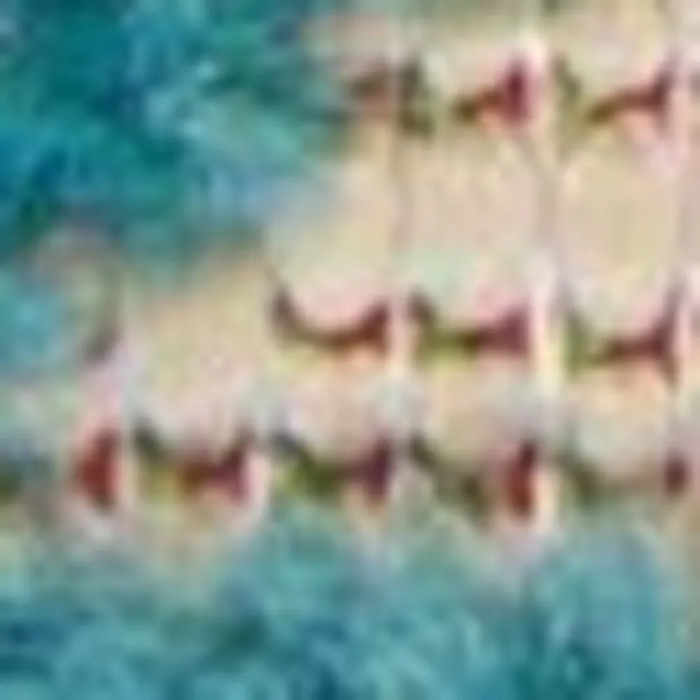 //sc04.alicdn.com/kf/Hc43c5b6a625c4e2dafe5ac28c0621575M/285090937/Hc43c5b6a625c4e2dafe5ac28c0621575M.jpg_100x100