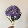 Morado oscuro