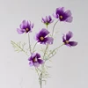 Pourpre