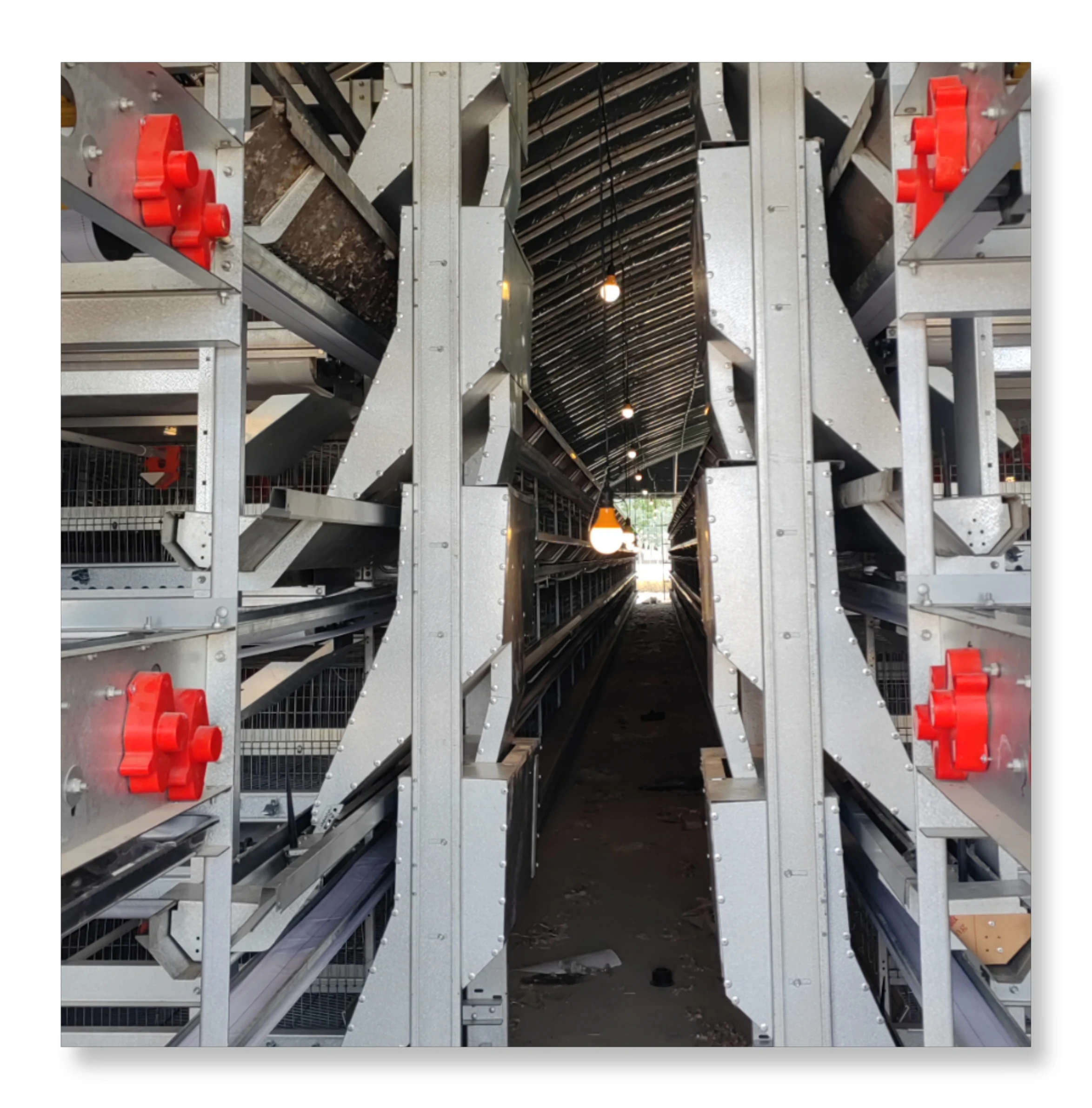 Modern Design Automatic Poultry Farming House H Type Battery Cage Chicken Farm for Egg Layer