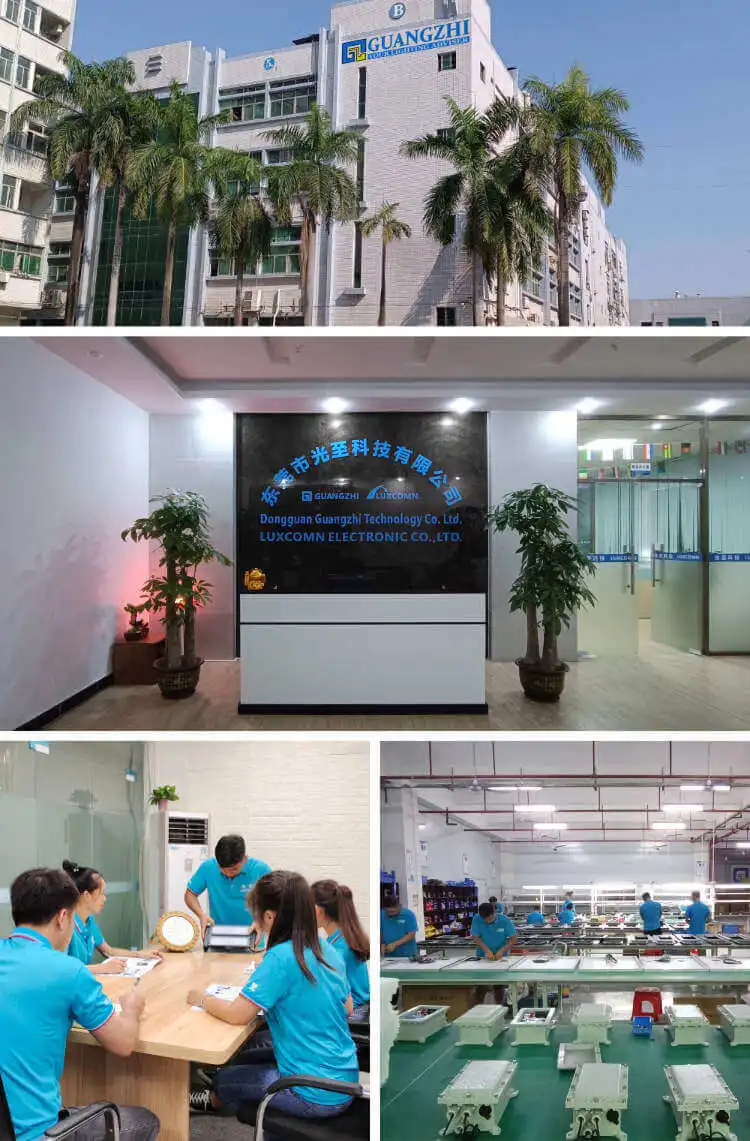 Dongguan Guangzhi Technology Co., Ltd.