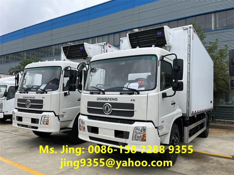DONGFENG KR 4x2 12 Tons Frozen Food Transport Refrigerated Truck for Sale in Congo
