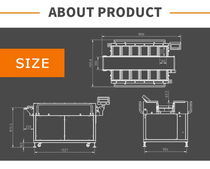 12 Head Multihead Weigher with Stainless Steel 304/316 Construction and 10" Color Touch Screen for High-Accuracy Weighing