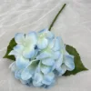 Bleu clair