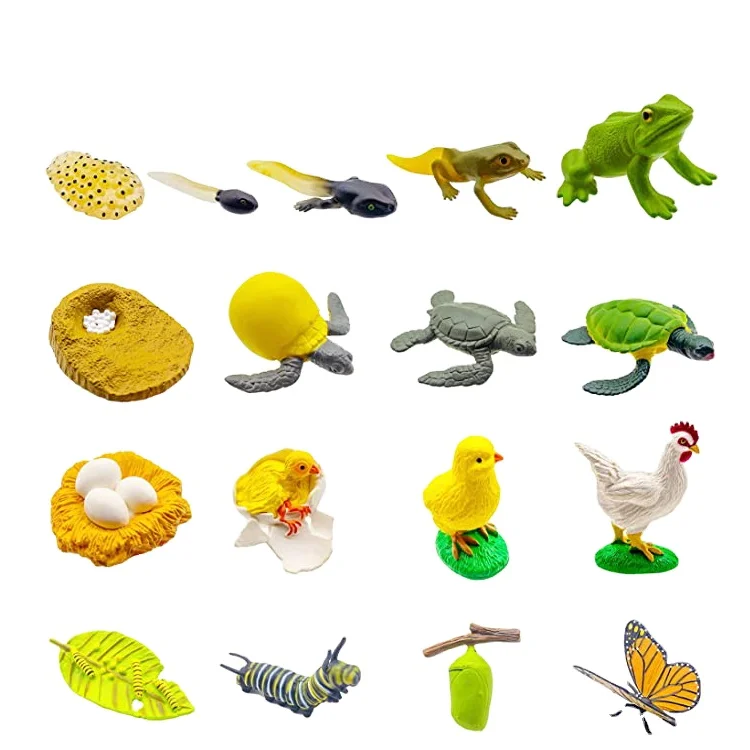 New Arrival Life Cycle Toy Insect Fish Rooster Butterfly Plant Animal Growth Life Cycle