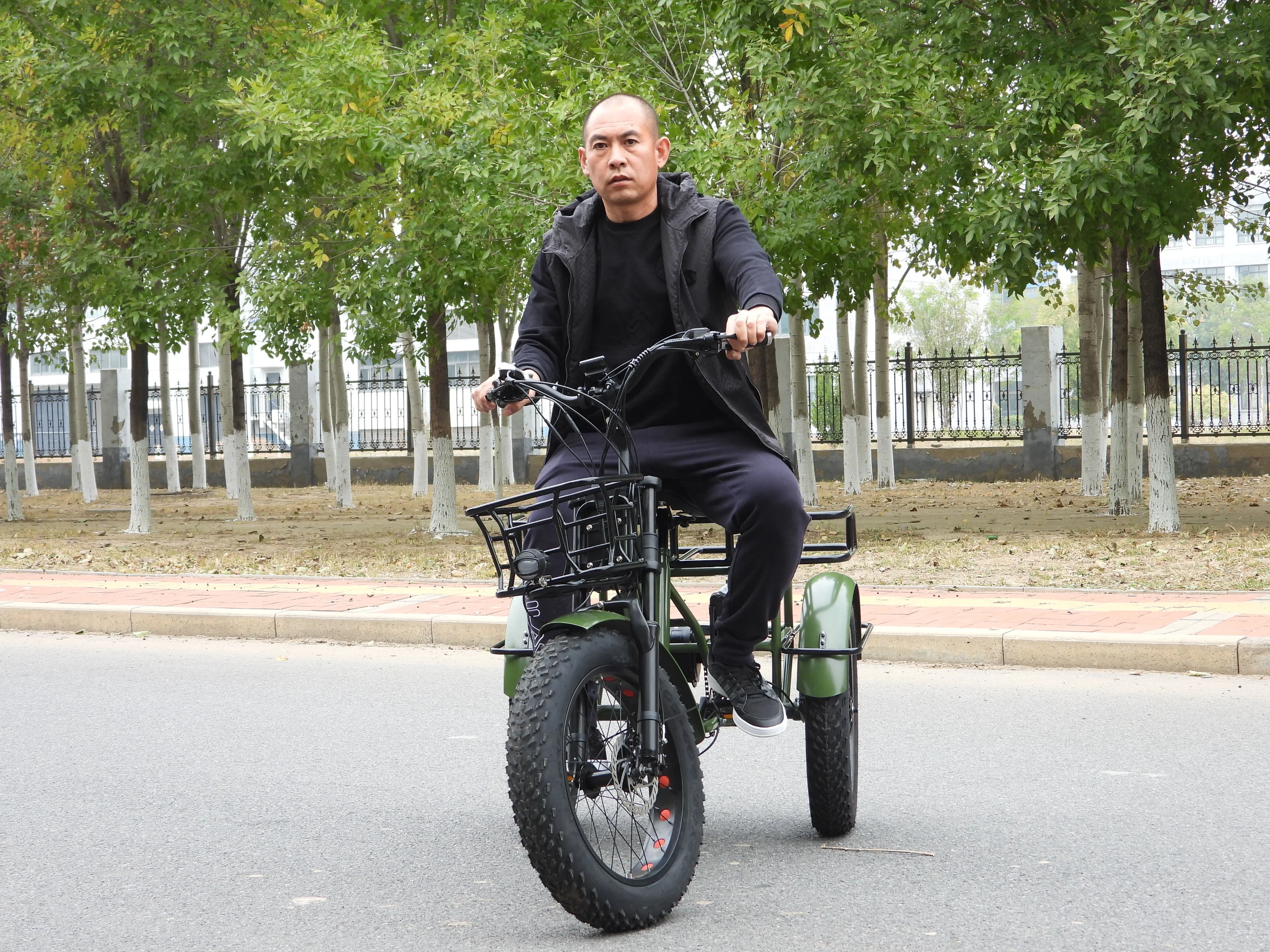 Touring and Renting 20 Inch Removable Lithium Battery Powered Adult Electric Cargo Tricycle 500w 48V  Fat Tire Wheels Rickshaw